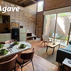(1) Suite Agave